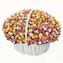 Премиум букет из: Розы в Капустин Яре