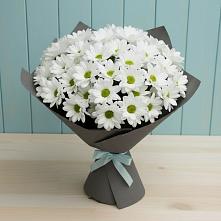 Букет цветов из:  Хризантемы #REPLACE_PRED# Капустин Яре