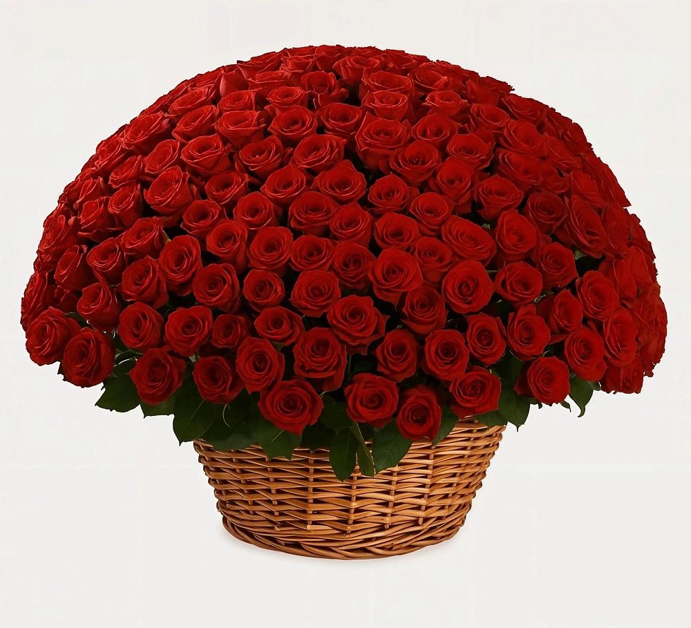 Премиум букет из: Розы в Капустин Яре