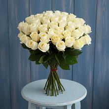 Букет 51 Белая роза Эдлесс Лав в Капустин Яре