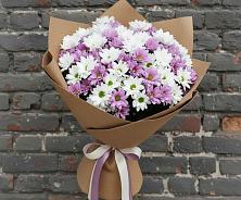 Букет цветов из:  Хризантемы #REPLACE_PRED# Капустин Яре