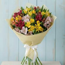 Букет цветов из:  Альстромерии в Капустин Яре
