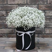 Цветочная композиция из Гипсофила в шляпной коробке в Капустин Яре