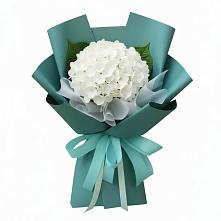 Букет цветов из:  Гортензия в Капустин Яре